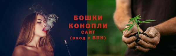 соль ск Кулебаки