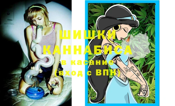 соль ск Кулебаки