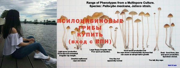 мефедрон мука Кукмор