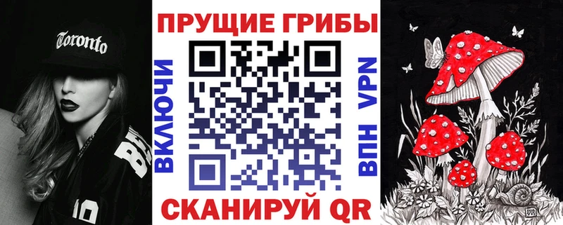 Галлюциногенные грибы Magic Shrooms Кочубеевское